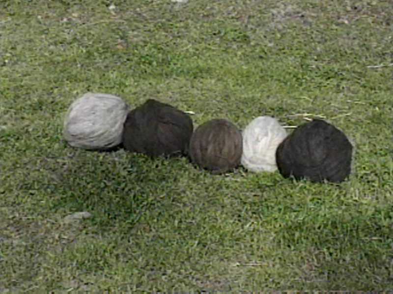 Balls of roving in a line